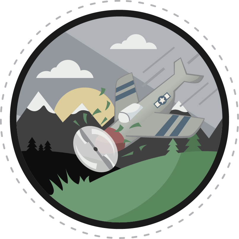 P-51 Label